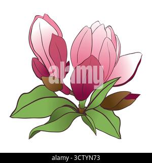 Magnolia soulangeana auf weißem Hintergrund. Frühlingsrosa Blüten, Knospen und Blätter. Vektor-Illustration für Hochzeitseinladungen und internationale Frauentagsgrüße. Stock Vektor