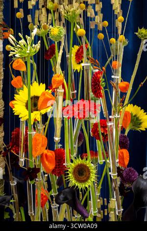 Eine atemberaubende und innovative Blumeninstallation zeigt eine Reihe von lebendigen Blumen, die in einzelnen Glasröhrchen gegen eine tiefe, reiche Stockfoto