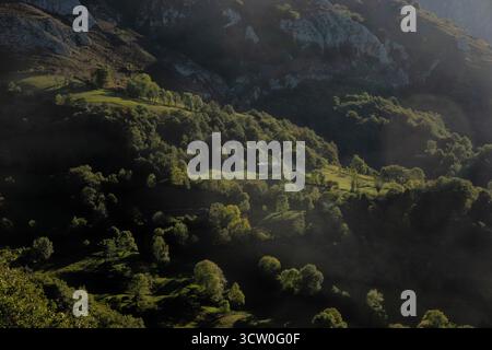 Wunderschönes Licht im grünen Tal von Ojo de Buey und Peña MEA, Pelugano, Asturien, Spanien Stockfoto