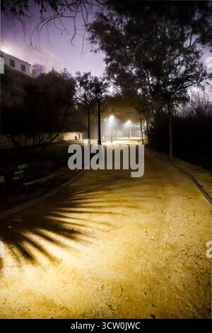 Eine tiefe Perspektive schoss in einer nebeligen Nacht über einen weiten, sandigen Parkweg. Das gelbe Licht der fernen Straßenlaternen wirft extrem lange, dunkle Schatten Stockfoto