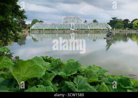Das Palm House in den Kew Gardens in Richmond, England. Stockfoto
