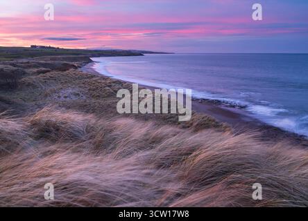 Sonnenuntergang über Berwick auf Tweed von den mit Marramgras bedeckten Dünen über Cocklawburn Beach in Northumberland, England. Winter (März) 2025. Stockfoto