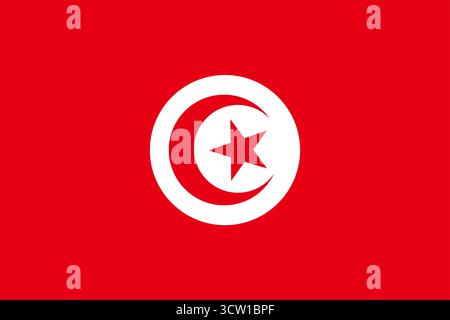 Flagge von Tunesien Vektor-Illustration Stock Vektor