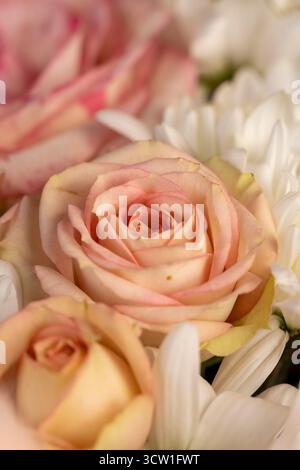 Rosen in verschiedenen Farben, ein Blumenarrangement zum Geben aus verschiedenen Farben und verschiedenen Arten von Blumen Stockfoto