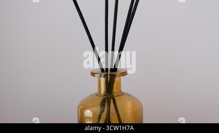 Minimalistische Vorderansicht eines Aromadiffusors aus braunem Glas mit schwarzem Schilf auf neutralem Hintergrund. Elegantes Dekorationselement symbolisch Stockfoto