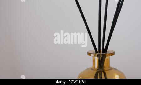 Minimalistische Komposition eines Duftdiffusors aus Bernsteinglas mit schwarzem Schilf an einer neutralen Wand. Einfaches und elegantes Wohndekor-Element, das r Stockfoto