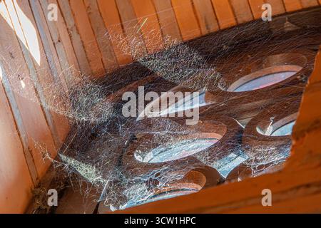 Ein altes, rustikales Fenster mit Spinnweben, das auf Verfall oder Verzicht des Sonnenlichts hindeutet, filtert durch, wirft Schatten in einem Raum, möglicherweise tagsüber Stockfoto