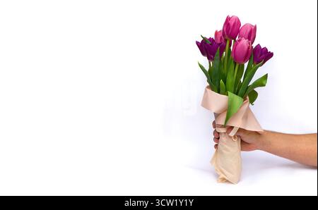 Die Hand des Mannes hält einen Frühlingsbund rosa, violette Tulpen auf hellem Hintergrund mit Platz für Text Stockfoto