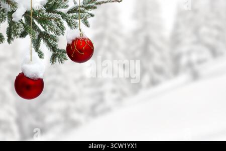 Zweig des Weihnachtsbaums mit hängenden roten Weihnachtskugeln bedeckt Schnee auf einem unscharfen hellen schneebedeckten Hintergrund mit Platz für Text Stockfoto