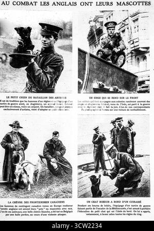 Seite aus Le Miroir, 1915, zeigt britische und kanadische Soldaten mit Tiermaskottchen während des Ersten Weltkriegs. Maskottchen wie Hunde, Affen, Ziegen und sogar Katzen begleiteten Truppen an die Front, was Gesellschaft und Moral anbot. Diese unbeschwerten Szenen aus Belgien und anderswo zeigen die menschliche Seite des Ersten Weltkriegs, als Soldaten der alliierten Armeen Haustiere und Maskottchen in die Gräben und auf Schiffe als Symbole für Trost und Tradition brachten. Stockfoto