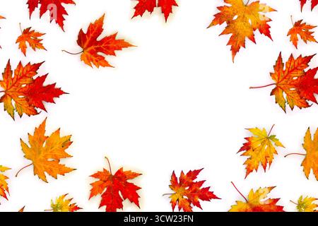 Rahmen aus herbstlichen Ahornblättern auf weißem Hintergrund mit Platz für Text. Draufsicht, flach Stockfoto