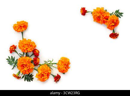 Orange und rote Ringelblumen ( Tagetes ) Rahmen auf weißem Hintergrund. Draufsicht, flach Stockfoto