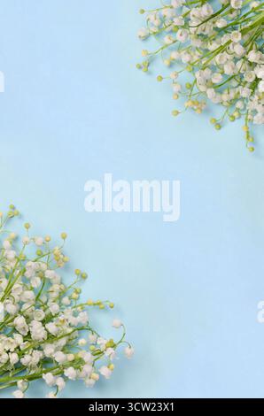 Weiße Blumen Lilie des Tales ( Convallaria majalis, Maiglocken, Maililie ) auf blauem Papierhintergrund mit Platz für Text. Draufsicht, flach Stockfoto