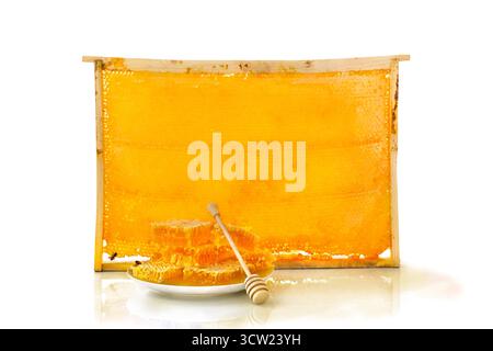 Waben mit Honig auf weißem Tisch auf Hintergrund Waben mit vollen Zellen von Honig auf weißem Hintergrund Stockfoto