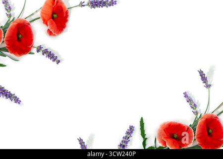 Blumen Rote Mohnblumen und violette Fliederblumen Lavendel auf weißem Hintergrund mit Platz für Text. Draufsicht, flach Stockfoto