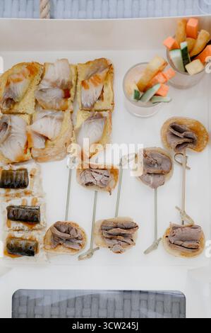 Eine Auswahl an Mini-Sandwiches und Häppchen für ein Buffet. Nahaufnahme einer Reihe von Vorspeisen mit Fisch, Fleisch und Gemüse in einer weißen Lunchbox für Katzen Stockfoto
