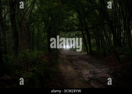 Pilgerweg auf dem Camino Primitivo in Spanien, der sich durch einen dichten, stimmungsvollen Waldtunnel schlängelt, mit fernem Licht am Ende, das Hoffnung und symbolisiert Stockfoto