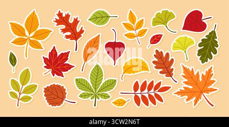 Herbstlaub Aufkleber Set. Verschiedene Blätter. aspen, Ginkgo, Ahorn, Eiche und andere Bäume. Handgezeichnet trendiger flacher Stil isoliert. Ideal für Muster, Banner, Aufkleber. Hallo Herbst. Stock Vektor