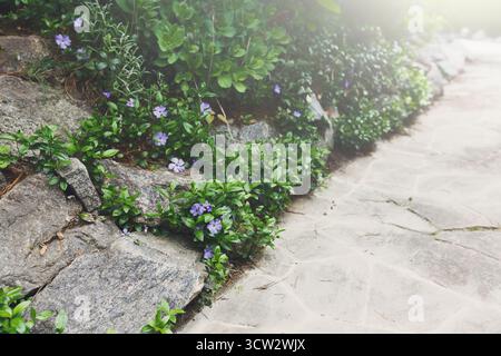 Landschaftsdesign-Detail, Sommergartenweg in Nahaufnahme Stockfoto