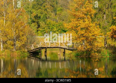 Herbstlandschaft mit einer Holzbrücke über den Fluss Voria, in Abramzewo, Oblast Moskau, Russland Stockfoto