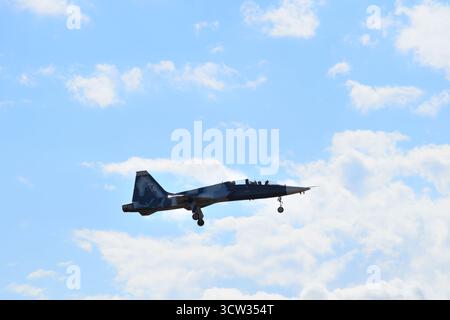 Seitenansicht der T38-Flugzeuge der 7. Kampftrainingsgeschwader der US Air Force, in Landekonfiguration am Flughafen Richmond, Virginia, USA. Stockfoto