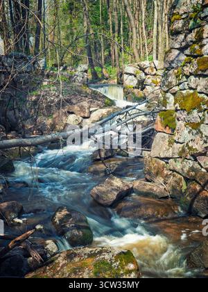Der kaskadierende Strom an den Ruinen aus Moosstein. Rauschendes Wasser kaskadiert über Felsen und umgestürzte Bäume neben einer alten, moosbedeckten Steinmauer, wahrscheinlich Mühlenruinen, Stockfoto