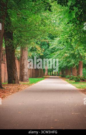 Brügge, Belgien. Schöner Wald am Eingang der mittelalterlichen Stadt. Bewölkter Tag im Sommer. Stockfoto