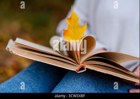 Nahaufnahme eines offenen Buches mit herzförmigen Seiten und hellgelbem Herbstblatt, das auf den Knien der Frau ruht, wodurch gemütliches Herbstlesen und Liebe entsteht Stockfoto