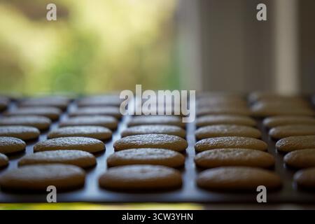 Französische Macarons, die im Ofen auf Silikonplatten backen. Hausgemachtes Dessertzubereitungskonzept. Stockfoto