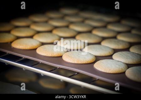 Französische Macarons, die im Ofen auf Silikonplatten backen. Hausgemachtes Dessertzubereitungskonzept. Stockfoto