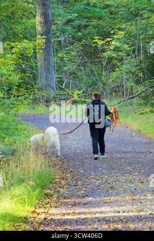 Frau, die mit ihrem Hund im Wald läuft, Rückansicht." Stockfoto