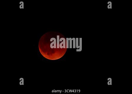 Der Vollmond erscheint während einer totalen Mondfinsternis tiefrot und hebt sich lebhaft vom schwarzen Nachthimmel ab. Stockfoto