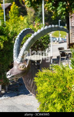 Lauterbrunnen, Schweiz - 2. Oktober 2025: Eine lebensgroße Skulptur einer Ziege mit großen geschwungenen Hörnern, teilweise von Grün verdeckt, in einem Außenbereich Stockfoto
