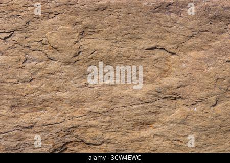 Raue beige Sedimentgesteinsformation im natürlichen Außenbereich tagsüber Stockfoto