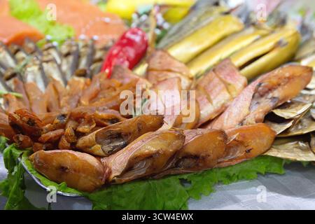 Verschiedene Sorten von gesalzenem und geräuchertem Fisch auf der Theke eines Fischgeschäfts. Essen Stockfoto