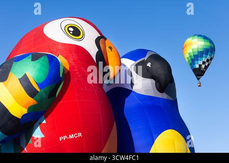 Albuquerque, USA. Oktober 2025 das Special Shapes Rodeo findet beim 53. Albuquerque Balloon Festival in Albuquerque, USA statt. Quelle: Mark Passmore/ Alamy Live News Stockfoto