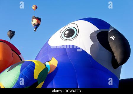 Albuquerque, USA. Oktober 2025 das Special Shapes Rodeo findet beim 53. Albuquerque Balloon Festival in Albuquerque, USA statt. Quelle: Mark Passmore/ Alamy Live News Stockfoto