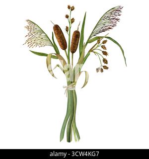 Ein Strauß aus Zöpfen, Schilf und Sträuchern. Handgezeichnete Aquarellillustration. Isoliert auf weißem Hintergrund Stockfoto