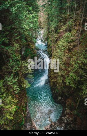 Ein lebhafter Wasserfall fließt durch einen engen Canyon, umgeben von hohen grünen Bäumen. Kristallklares Wasser tanzt über Felsen und schafft eine ruhige Atmosphäre Stockfoto