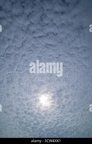 Ein dramatischer Blick auf den Himmel, der die Sonne teilweise von einer dichten Schicht aus Altocumulus-Wolken verdeckt und eine strukturierte und stimmungsvolle Atmosphäre schafft. Die Scratte Stockfoto