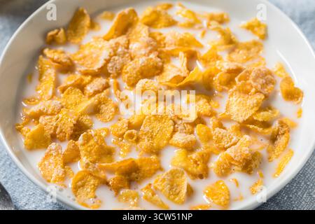 Gesundes Milchkorn Flake Frühstückszerealien mit Vollmilch Stockfoto
