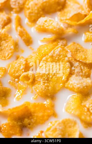 Gesundes Milchkorn Flake Frühstückszerealien mit Vollmilch Stockfoto