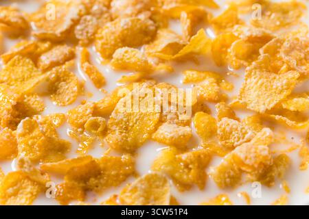 Gesundes Milchkorn Flake Frühstückszerealien mit Vollmilch Stockfoto