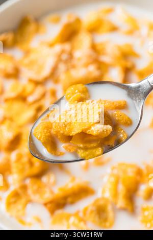 Gesundes Milchkorn Flake Frühstückszerealien mit Vollmilch Stockfoto
