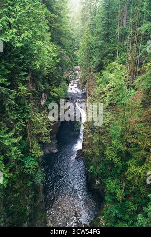 Ein ruhiger Fluss schlängelt sich durch einen dichten grünen Wald, umgeben von hohen Bäumen und felsigen Klippen. Das ruhige Wasser fließt sanft und reflektiert die Natur Stockfoto