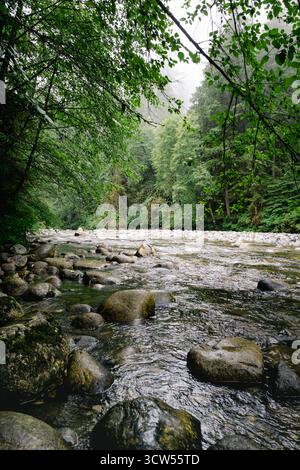 Ein ruhiger Fluss fließt sanft durch einen üppig grünen Wald, umgeben von großen Felsen. Nebel hängt in der Luft und schafft eine friedliche und beruhigende Atmosphäre Stockfoto