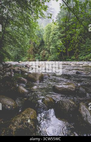 Ein klarer Fluss schlängelt sich durch einen lebendigen Wald mit glatten Felsen an seinen Ufern. Regen erzeugt Wellen an der Oberfläche und trägt zu einer friedlichen Atmosphäre bei Stockfoto