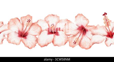 Weiße rote Hibiskusblüten Aquarell isolierte nahtlose Grenze. Horizontale Banner-Vorlage mit Blumenmuster für den Sommer. Handgezeichnetes botanisches ClipArt für den Sommer Stockfoto