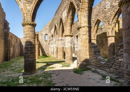 Die Abtei Saint-Mathieu de Fine-Terre in der Bretagne, Frankreich. Das Innere der gotischen Ruine im Sonnenlicht zeigt hohe Bögen und verwitterte Steinsäulen. Stockfoto