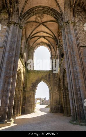 Die Abtei Saint-Mathieu de Fine-Terre in der Bretagne, Frankreich. Das Innere der gotischen Ruine im Sonnenlicht zeigt hohe Bögen und verwitterte Steinsäulen. Stockfoto